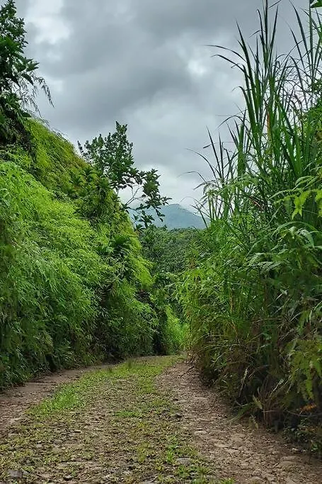 Vila Le Ptit Gibs Petit-Bourg 0*,  Guadeloupe